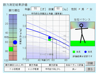 筋力測定機能　結果評価のグラフ