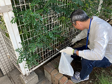 活動内容