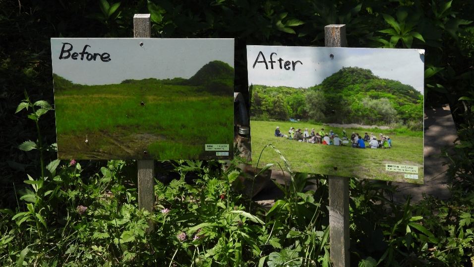 Before After の写真比較