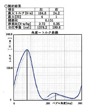 大腿切断者の下肢伸屈力