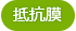 抵抗膜
